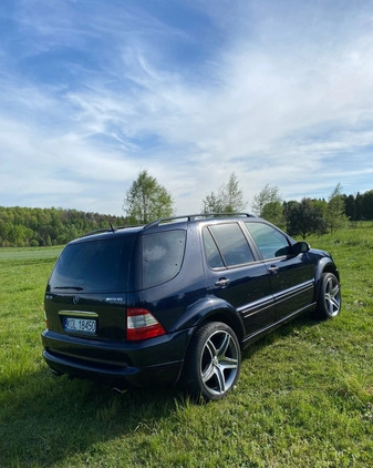 Mercedes-Benz ML cena 38500 przebieg: 242465, rok produkcji 2003 z Wolbrom małe 254